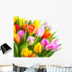 Tulip Bouquet Against a White Background 