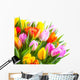 Tulip Bouquet Against a White Background 