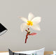 Single Frangipani Plumeria Wall Decal