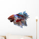 Siamese Fighting Fish .clipping Path Included. 