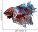 Siamese Fighting Fish .clipping Path Included. 