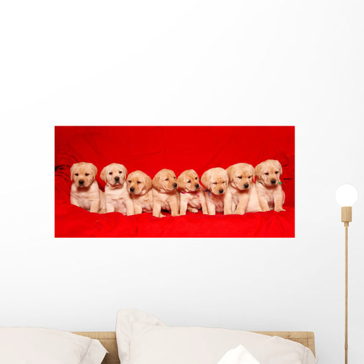 Puppies Wall Mural