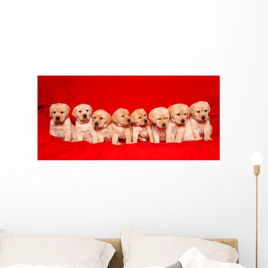 Puppies Wall Mural