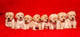 Puppies Wall Mural