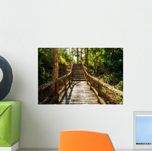 path in woods, chiangmai Thailand 