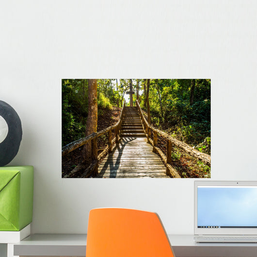 path in woods, chiangmai Thailand 