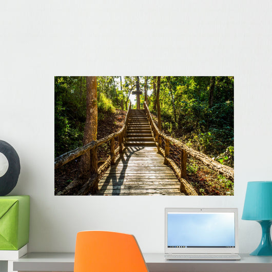 path in woods, chiangmai Thailand 