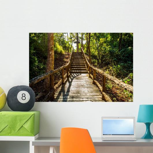 path in woods, chiangmai Thailand 