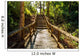 path in woods, chiangmai Thailand 