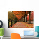 Fall Colors in Redmond Wall Mural