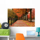 Fall Colors in Redmond Wall Mural