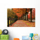Fall Colors in Redmond Wall Mural