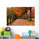 Fall Colors in Redmond Wall Mural