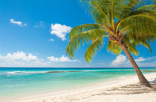 Barbados 