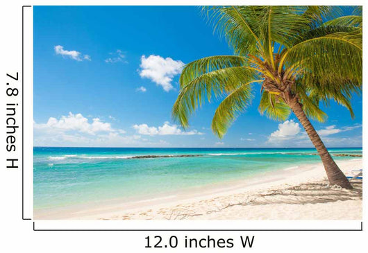Barbados 