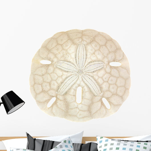 Old Sand Dollar Wall Decal