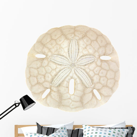 Old Sand Dollar Wall Decal
