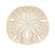 Old Sand Dollar Wall Decal