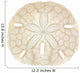 Old Sand Dollar Wall Decal