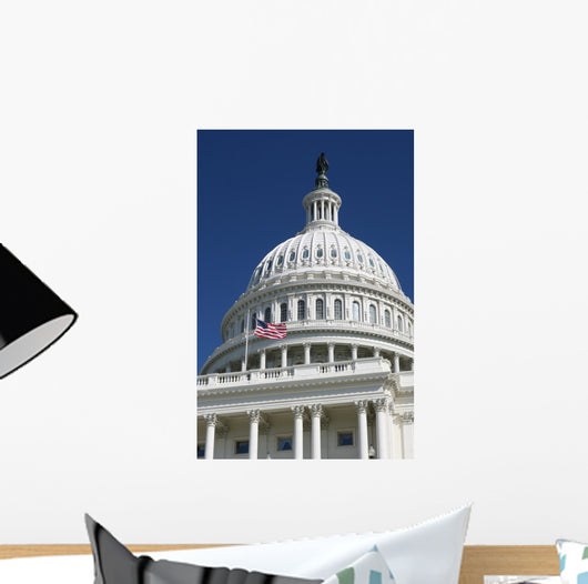 The US Capitol Washington DC Wall Mural