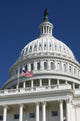 The US Capitol Washington DC Wall Mural