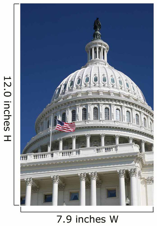 The US Capitol Washington DC Wall Mural