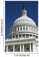 The US Capitol Washington DC Wall Mural