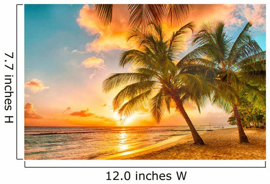 Barbados 