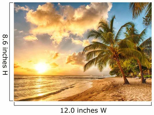 Barbados 