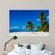 Tropical sandy beach with palm trees, Dominican Republic 