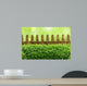 Alter Gartenzaun mit Buchsbaumhecke und Bokehhintergrund Wall Mural