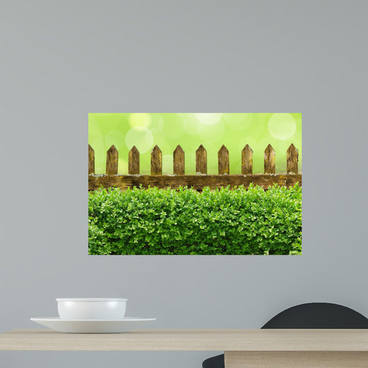 Alter Gartenzaun mit Buchsbaumhecke und Bokehhintergrund Wall Mural