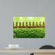 Alter Gartenzaun mit Buchsbaumhecke und Bokehhintergrund Wall Mural