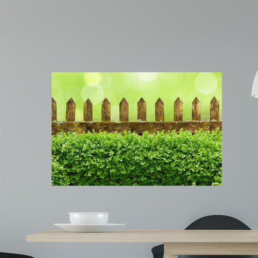 Alter Gartenzaun mit Buchsbaumhecke und Bokehhintergrund Wall Mural