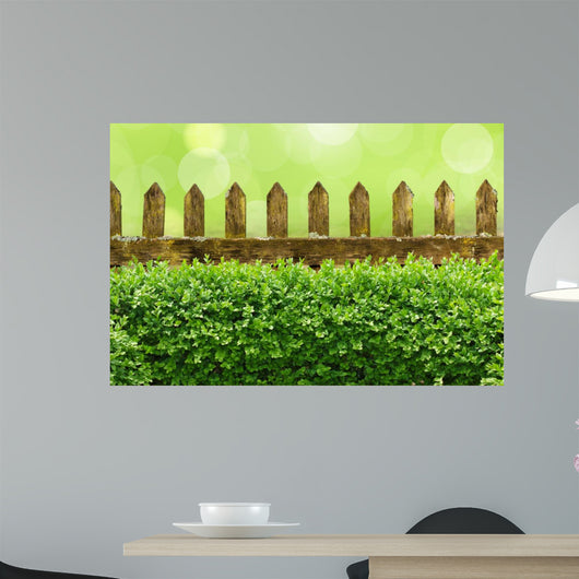Alter Gartenzaun mit Buchsbaumhecke und Bokehhintergrund Wall Mural