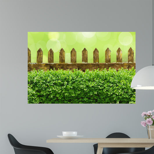 Alter Gartenzaun mit Buchsbaumhecke und Bokehhintergrund Wall Mural