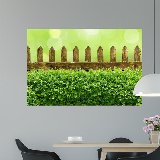 Alter Gartenzaun mit Buchsbaumhecke und Bokehhintergrund Wall Mural
