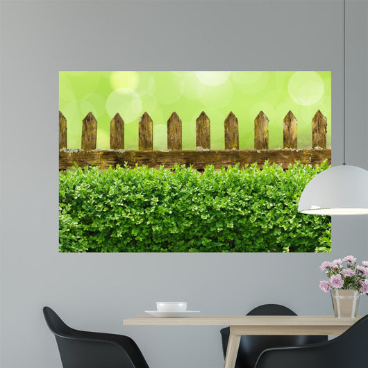 Alter Gartenzaun mit Buchsbaumhecke und Bokehhintergrund Wall Mural