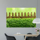 Alter Gartenzaun mit Buchsbaumhecke und Bokehhintergrund Wall Mural