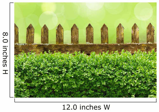 Alter Gartenzaun mit Buchsbaumhecke und Bokehhintergrund Wall Mural