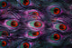 Colorful peacock feathers background 