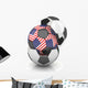 Usa Soccer Ball Isolated White Background 