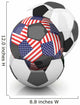 Usa Soccer Ball Isolated White Background 