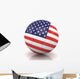 Usa Soccer Ball Isolated White Background Wall Decal