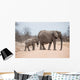 Elephants crossing road in Kruger Park, South Africa 