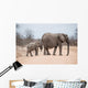 Elephants crossing road in Kruger Park, South Africa 