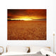 Sunset Over Wheat Field Wall Mural