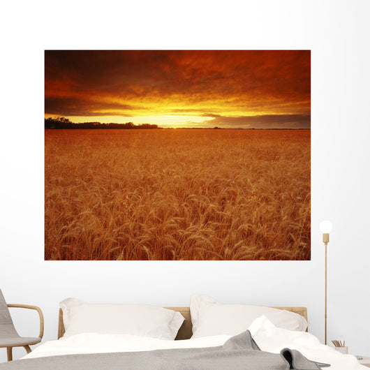 Sunset Over Wheat Field Wall Mural