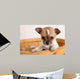 popup puppy Wall Mural