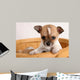 popup puppy Wall Mural